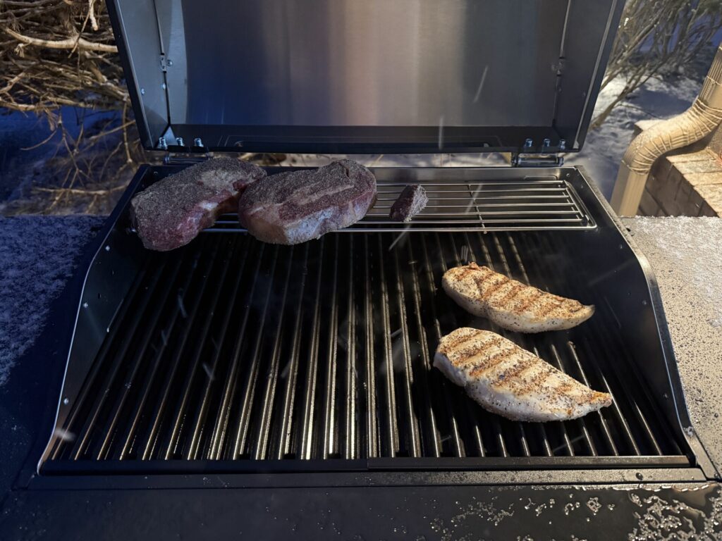 Current Model G Plus Cooking Ribeye and Chicken in Winter