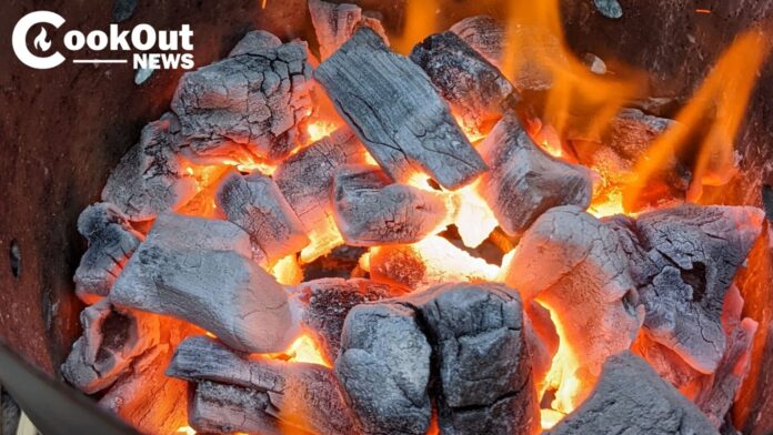 CookOut News Wire - Logo