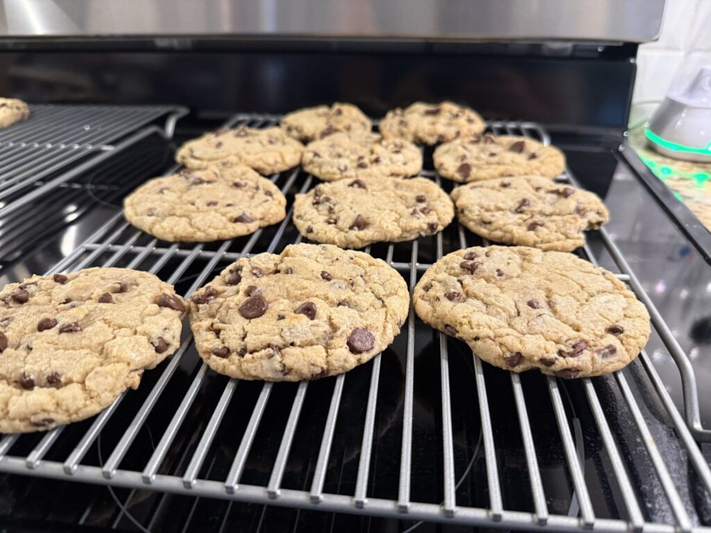Ooni Halo Core Mixer - Cookies